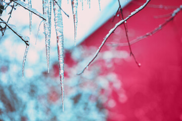 Foto auf Acrylglas Pantone 2023 Viva Magenta Ice icicles on the background of the house. Abstract winter background  © vvvita