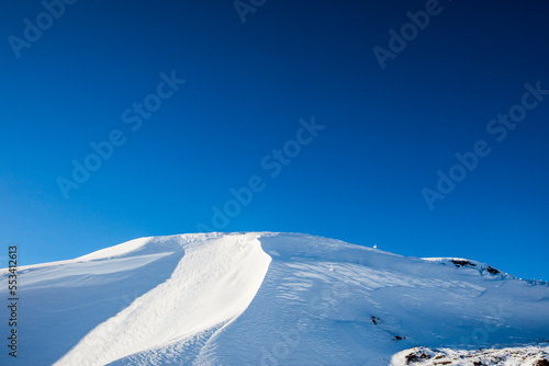 White-tailed ptarmigan in Dovrefjell National Park, Norway photo