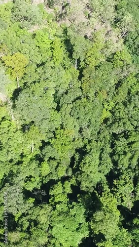 Wallpaper Mural Vertical video of Aerial shot of a tropical island with hills covered in forest Torontodigital.ca