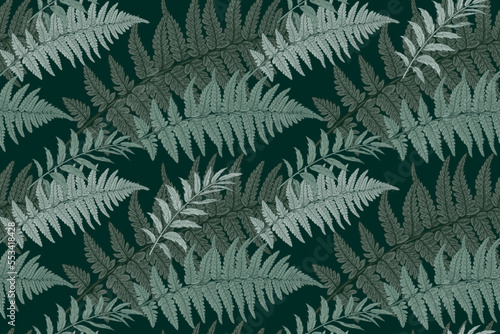 Seamless pattern. Fern leaves. Vector illustration.