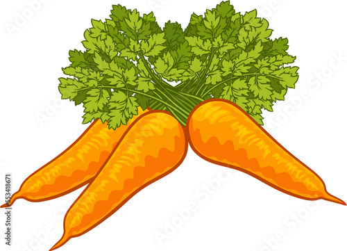 Carrots Vegetable Cartoon I...
