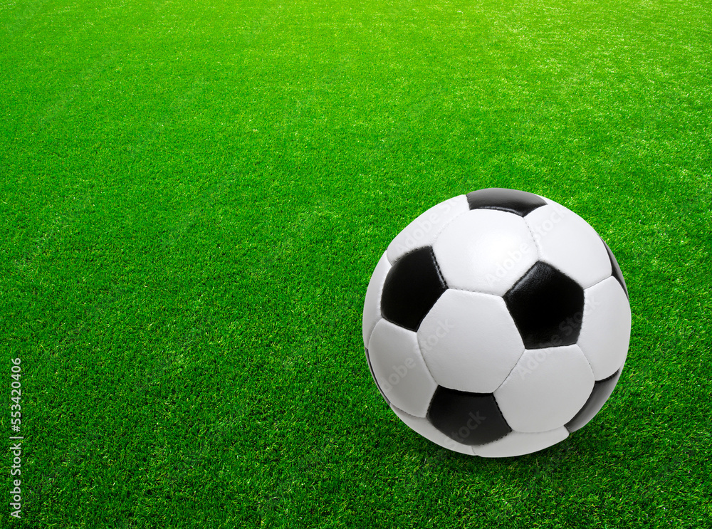 Soccer ball on the green grass Soccer ball on the green grass