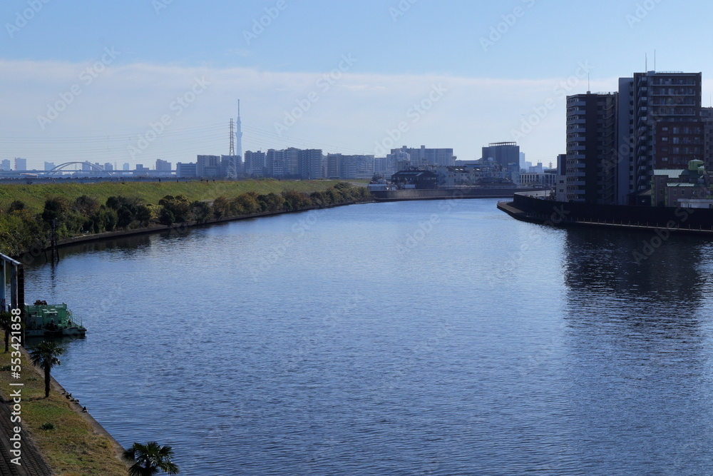 Fototapeta premium 日本 東京の風景