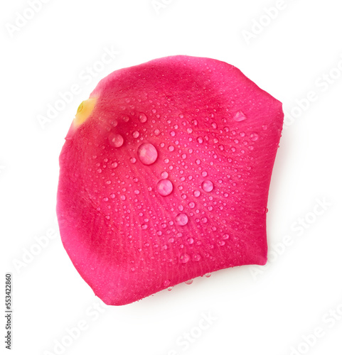 Pink petals of flower isolated on white background