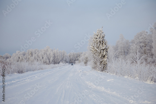 Road white of snow with some trees on the edge on a frosty winter day, selective focus