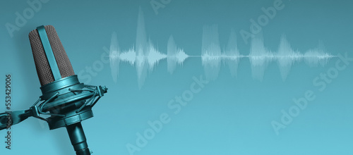 Cuadro en lienzo Vocal microphone with audio waveform