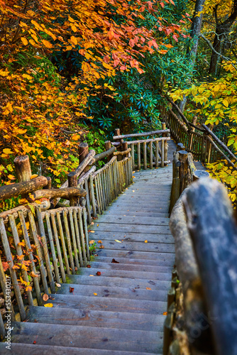 Wood boardwalk stairs leading down through peak fall foliage forest