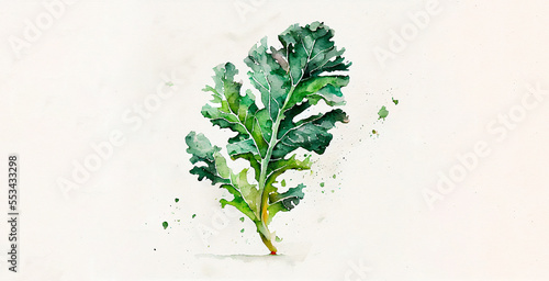 Kale. watercolor on white paper background. Illustration of vegetables and greens © David Costa Art