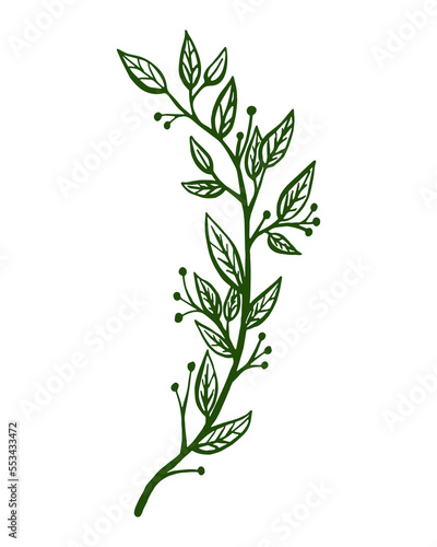 Twig of Plant Silhouette. Isolated Plant element for your design. Vector illustration.