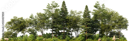 Isolated transparent PNG of an european forest part with deciduous trees, conifers and bushes