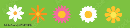 Set of  daisy chamomile illustration. Cute realistic flower plant icon collection. Different sorts of flower petal blossom