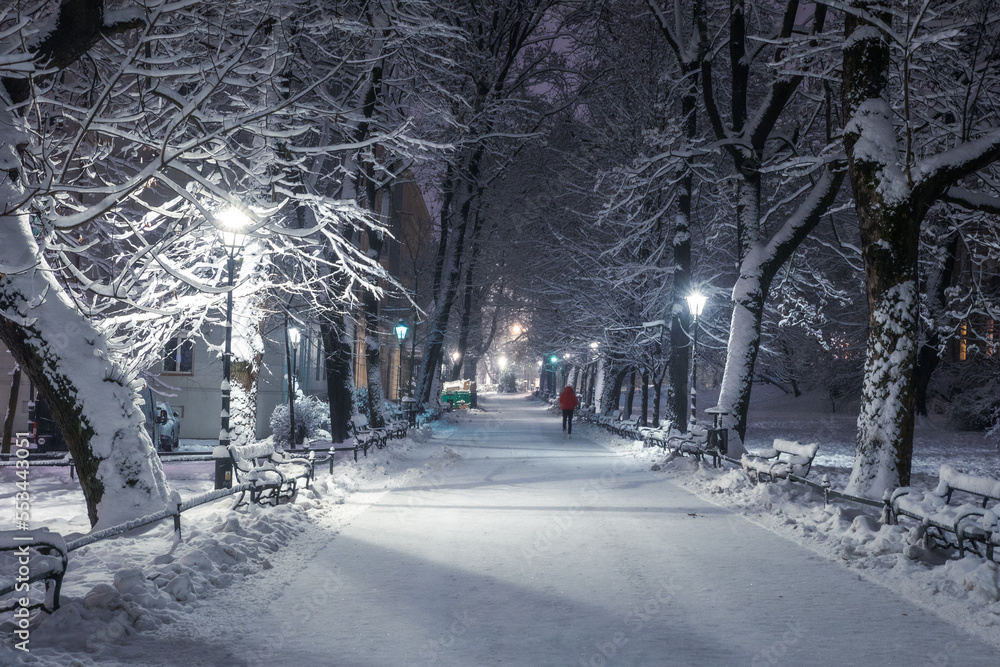 A snow-covered park in Krakow captured at night. Thanks to the large amount of snow, a fairy-tale atmosphere was created. A snow-covered park in Krakow captured at night. Thanks to the large amount of snow, a fairy-tale atmosphere was created.