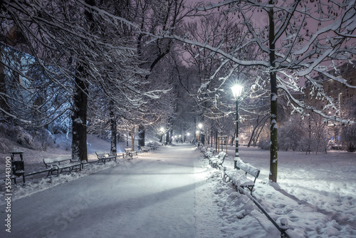 A snow-covered park in Krakow captured at night. Thanks to the large amount of snow  a fairy-tale atmosphere was created.