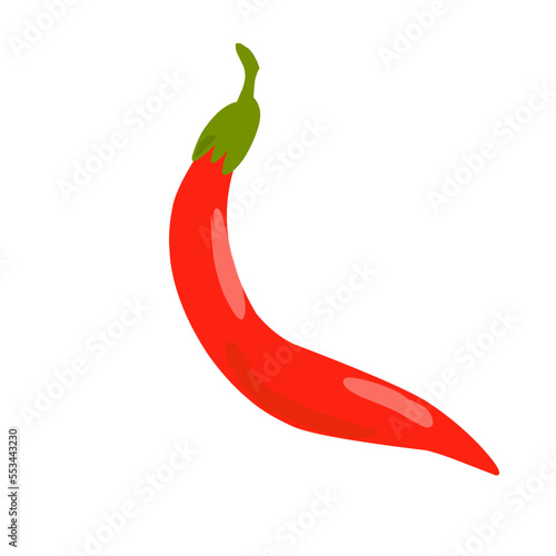 Red Chilli pepper illustration