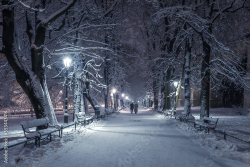 A snow-covered park in Krakow captured at night. Thanks to the large amount of snow, a fairy-tale atmosphere was created. © PawelUchorczak