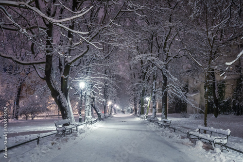 A snow-covered park in Krakow captured at night. Thanks to the large amount of snow, a fairy-tale atmosphere was created.