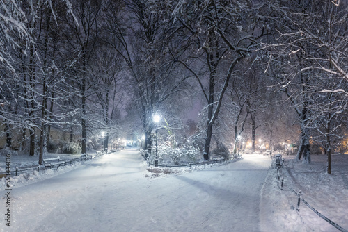 A snow-covered park in Krakow captured at night. Thanks to the large amount of snow  a fairy-tale atmosphere was created.