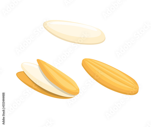 Paddy rice object symbol cartoon illustration vector