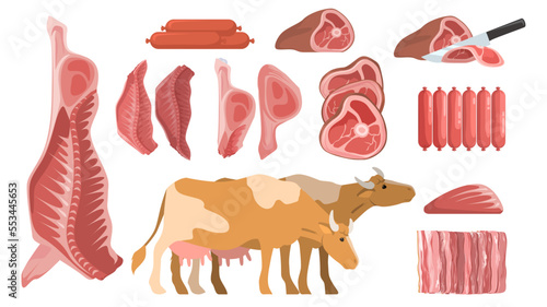 Cartoon fresh raw beef meat vector set