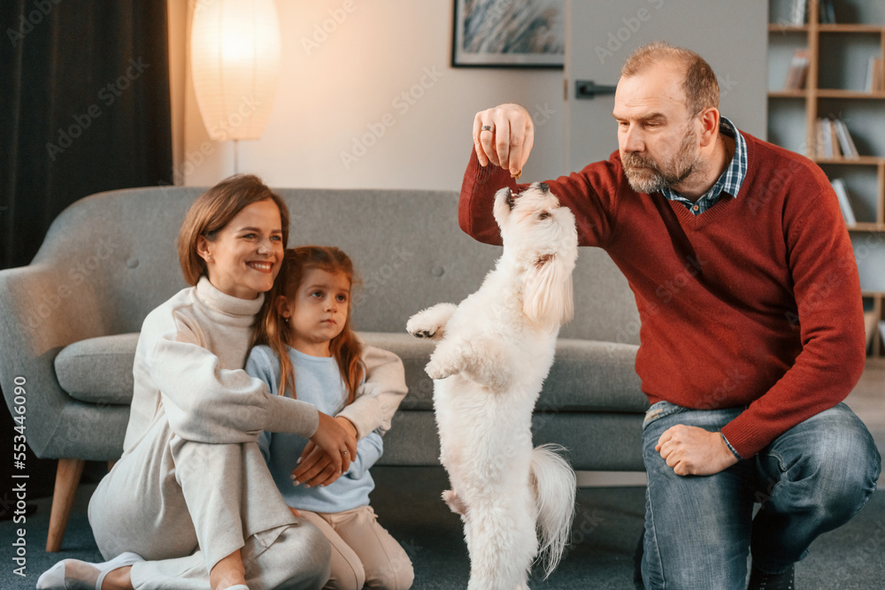 Doing tricks. Man is playing with maltese dog. Mother with her daughter is watching