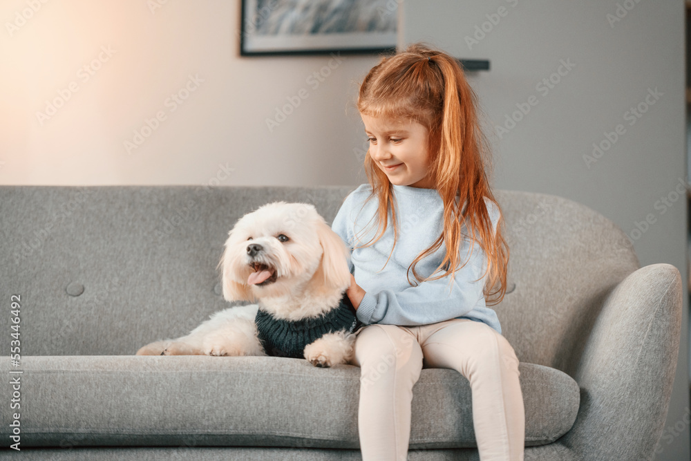 Front view. On the sofa. Little girl is with maltese dog indoors in domestic room Front view. On the sofa. Little girl is with maltese dog indoors in domestic room