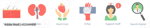 hair transplant, kidneys, x ray 