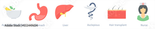 ayurvedic medicine, stomach, liver