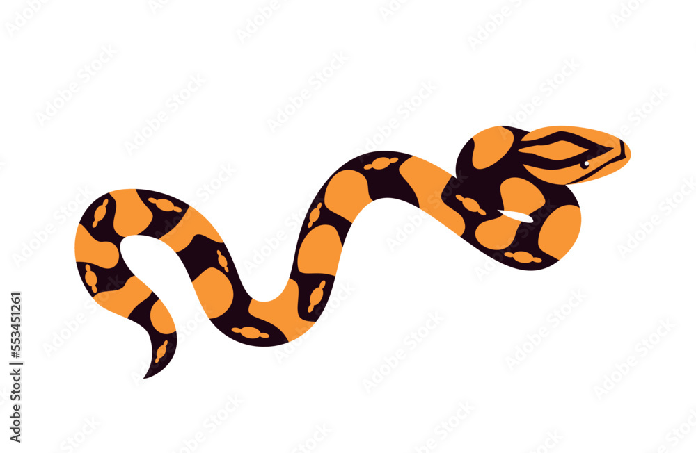 Orange and black snake - illustration, vector Orange and black snake - illustration, vector