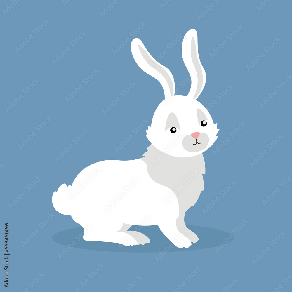Fototapeta premium White rabbit stands on four legs
