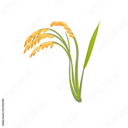 Paddy rice plant agriculture symbol cartoon illustration vector