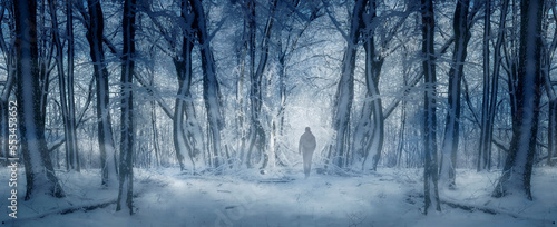 man in frozen woods, fantasy winter landscape