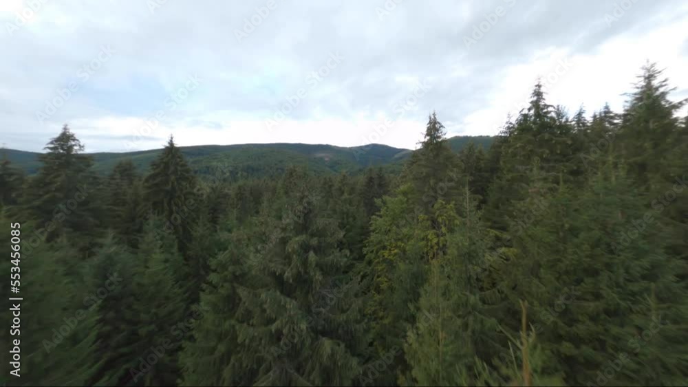 drone forest shot fpv aerial first person view top nature slide drone forest shot fpv aerial first person view top nature slide