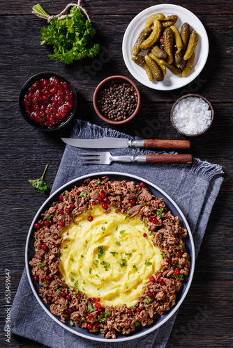 Reindeer Stew with Lingonberries and potato puree photo