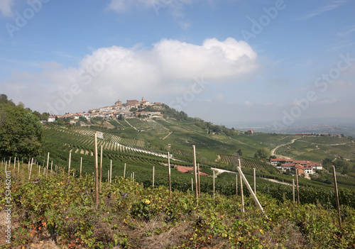 Langhe vineyards near La Morra, Unesco Site, Piedmont, Italy
