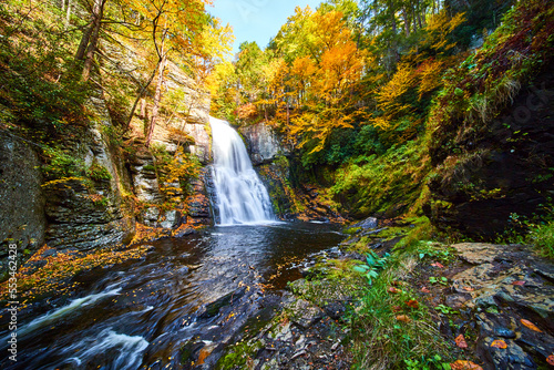 Golden fall leaves cover banks of river with cliffs and large waterfall in peak fall forest