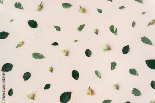 Abstract trendy pastel beige background with flower buds, leaves, petals. Natural floral texture. Pattern backdrop with flowers. Beauty layout. Summer, aroma water concept