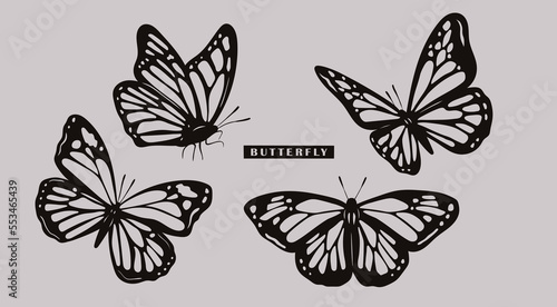 Black outline Butterflies collection. Beautiful nature flying insects. Butterfly silhouettes. Hand drawn modern Vector illustration. All elements are isolated. Tattoo idea, print, logo template