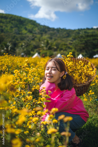 A woman wearing a pink dress is taking a walk in a yellow flower garden called Chrysanthemum during the day. At Pak Thong Chai District, Thailand 4-12-2022