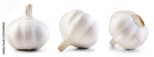 Garlic bulb isolated. Garlic on white background. White garlic bulb collection. Set with clipping path.