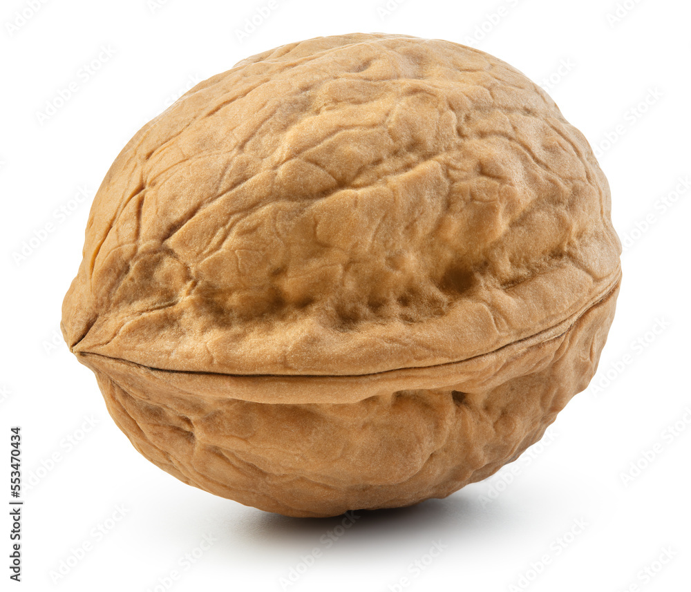 Walnut isolated. Unpeeled walnut on white background. With clipping path. Full depth of field. Walnut isolated. Unpeeled walnut on white background. With clipping path. Full depth of field.