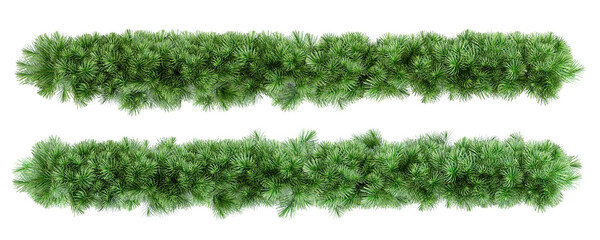 Christmas tree branches isolated 

