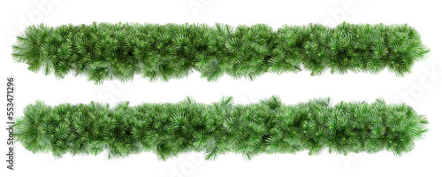 Christmas tree branches isolated 
