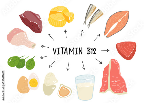 Collection of vitamin B12 food. cheese, eggs, clams, beef, turkey, milk, liver, spinach, sardines, tuna, salmon. Dietetic products, organic natural nutrition. Flat vector cartoon illustration