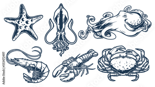 Photography Ocean fauna monochrome set elements
