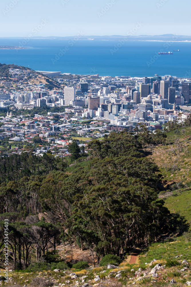 aerial view of city of cape town and mountain with trees