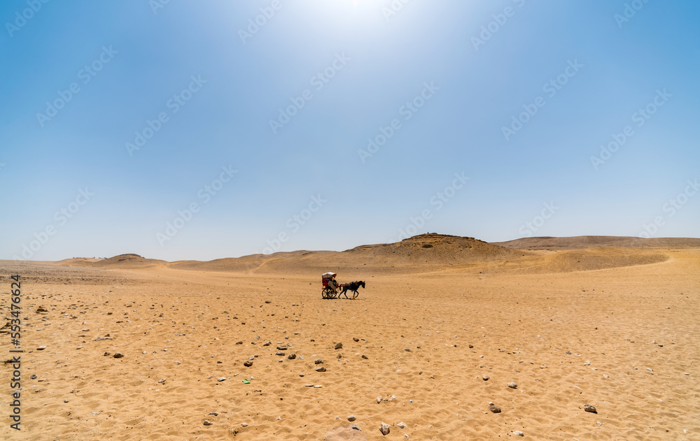 horse cart in egypt desert horse cart in egypt desert