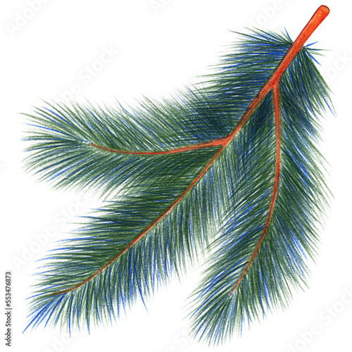 Christmas Fir Branch Isolated on White Background. Symbol of Happy New Year  Xmas Holiday celebration  Winter. Hand-drawn Pencil Illustration. Hand Drawn Xmas Tree.