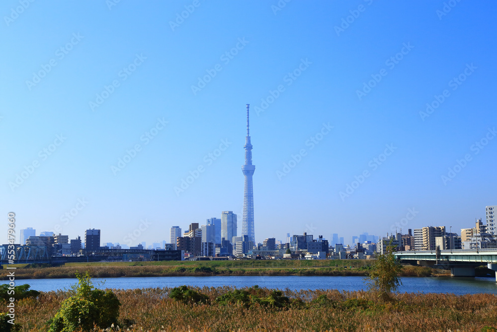 Obraz premium 荒川の河川敷から眺める東京の都市風景