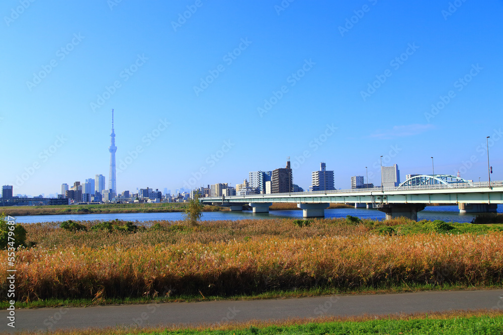 荒川の河川敷から眺める東京の都市風景