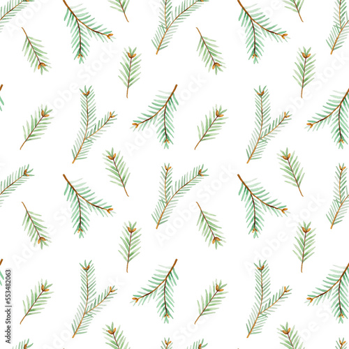 Watercolor pattern with evergreen branches of spruce and thuja